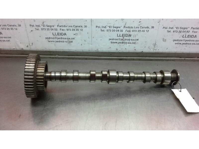 Recambio de arbol de levas para seat leon (1m1) sport referencia OEM IAM 0677445  