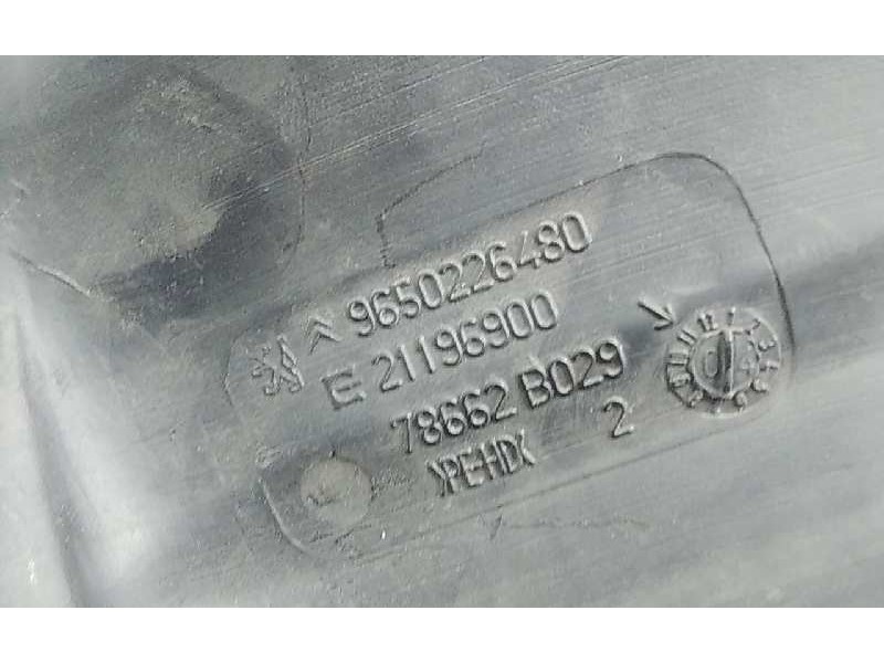 Recambio de deposito limpia para citroen c4 berlina 1.6 16v cat (nfu / tu5jp4) referencia OEM IAM 9650226480  118179