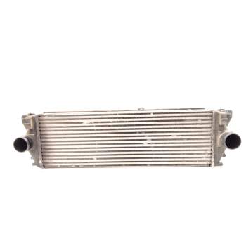 INTERCOOLER A9065010201 