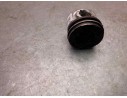 PISTON 119975