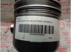 Recambio de piston para citroen jumpy 2.0 hdi cat (rhx / dw10bted) referencia OEM IAM    2