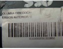 COLUMNA DIRECCION 