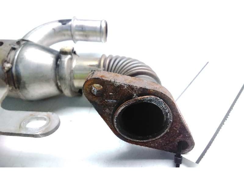 Recambio de enfriador de gases para ford focus berlina (cap) trend referencia OEM IAM 0645689780  