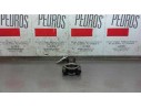 BIELA 