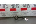 BIELA 