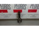 BIELA 