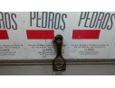 BIELA 