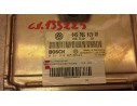 CENTRALITA MOTOR UCE 045906019AP 273 