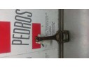 BIELA 