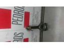 BIELA 
