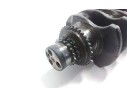 CIGUEÑAL YC1Q6306GA3 