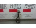 BIELA 