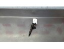 INYECTOR 0445110 165 