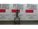 BIELA 