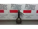 BIELA 