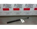 AMORTIGUADORES MALETERO / PORTON 