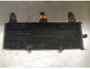 CONDENSADOR / RADIADOR AIRE ACONDICIONADO XL0308236 LONG 