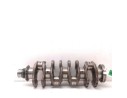 CIGUEÑAL YC1Q6306BC 