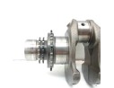 CIGUEÑAL YC1Q6306BC 