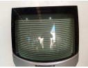 PORTON TRASERO 1C0827025P 