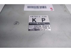 Recambio de centralita motor uce para nissan terrano/terrano.ii (r20) referencia OEM IAM 407913   2