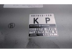 Recambio de centralita motor uce para nissan terrano/terrano.ii (r20) referencia OEM IAM 407913   2