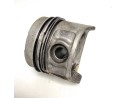 PISTON 13069