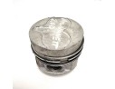 PISTON 13069