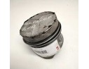 PISTON 13069