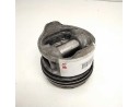 PISTON 13069