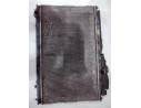 RADIADOR AGUA 254312B100 