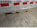 AMORTIGUADORES MALETERO / PORTON 7700815135 
