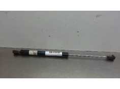 Recambio de amortiguadores maletero / porton para » otros... modelos referencia OEM IAM   21119