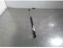 AMORTIGUADORES MALETERO / PORTON 22550