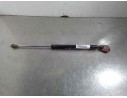 AMORTIGUADORES MALETERO / PORTON 22550