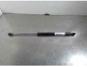 AMORTIGUADORES MALETERO / PORTON 22550