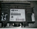 CENTRALITA MOTOR UCE 032906030D 6160035500 IAW1AVV0