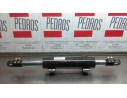 PISTON HIDRAULICO 4950922H11 3Z11 