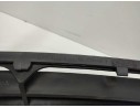 REJILLA PARAGOLPES CENTRAL 8165150 8165150 