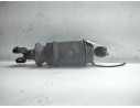 PULMON SUSPENSION NEUMATICO DELANTERO DERECHO G2499005 
