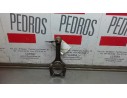 BIELA 