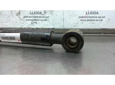 Recambio de piston hidraulico para » otros... modelos referencia OEM IAM 389ID258334   2