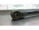 PISTON HIDRAULICO 389ID258334 ES30260 