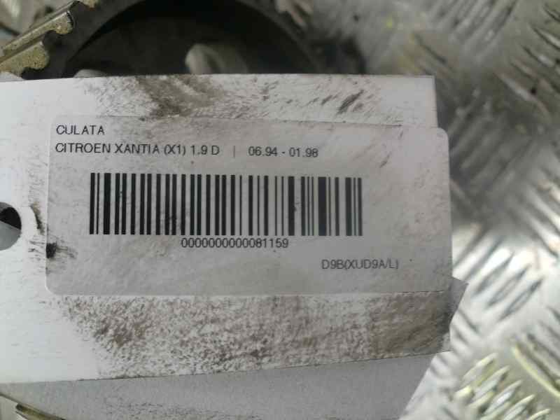 Recambio de culata para citroen xantia berlina 1.9 diesel referencia OEM IAM P04  42180