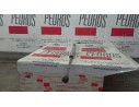 AMORTIGUADORES MALETERO / PORTON 