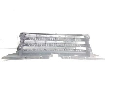 Recambio de rejilla delantera para land rover range rover sport v6 td hse referencia OEM IAM 500062XXX   2