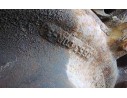 DIFERENCIAL DELANTERO 2653C0R-3 