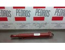PISTON HIDRAULICO 608968F4 