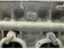 CULATA 49101