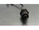 SONDA LAMBDA 55577162 1928404687 